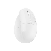 Wireless Vertical Ergonomic Mouse — Bluetooth + 2.4GHz, 4000 DPI, 6 Buttons (White)