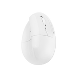 Wireless Vertical Ergonomic Mouse — Bluetooth + 2.4GHz, 4000 DPI, 6 Buttons (White)